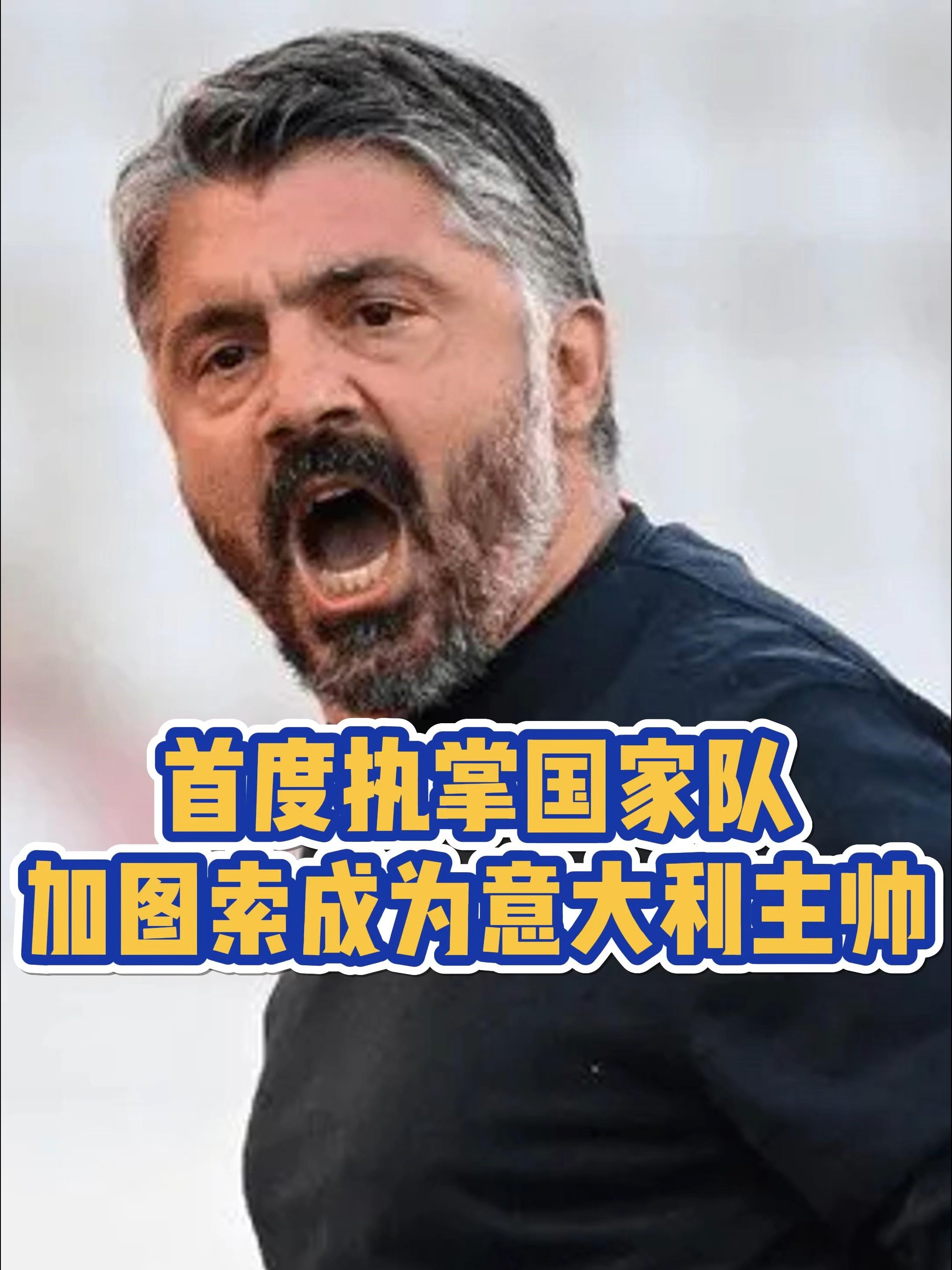 九游体育网页版-意大利篮球名宿出任国家队主教练